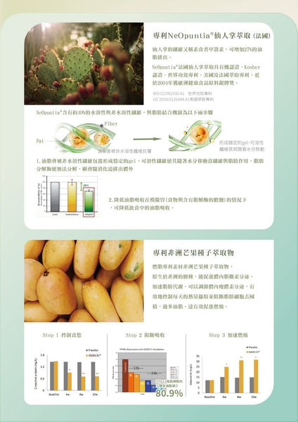 薄荷朱古力雪糕口味瘦身代餐